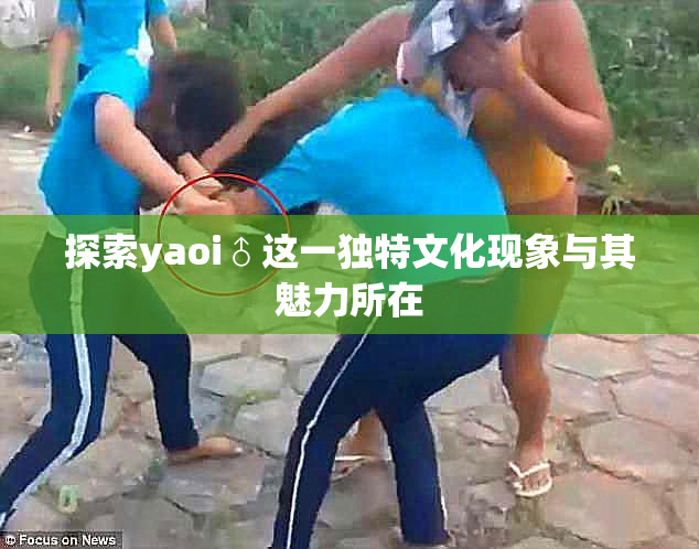 探索yaoi♂这一独特文化现象与其魅力所在