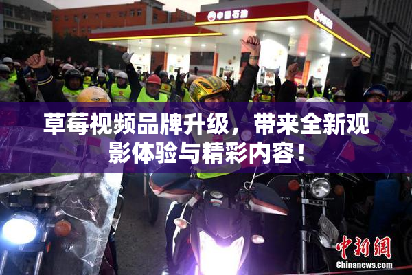 草莓视频品牌升级，带来全新观影体验与精彩内容！