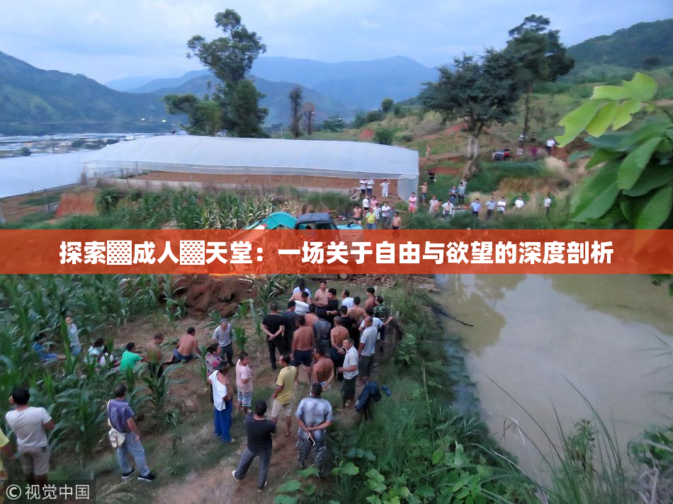 探索▓成人▓天堂：一场关于自由与欲望的深度剖析