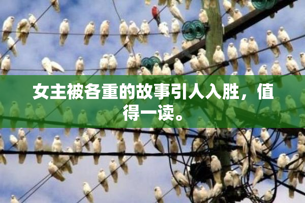 女主被各重的故事引人入胜，值得一读。