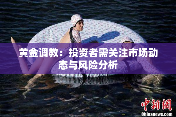 黄金调教：投资者需关注市场动态与风险分析