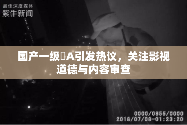 国产一级婬A引发热议，关注影视道德与内容审查