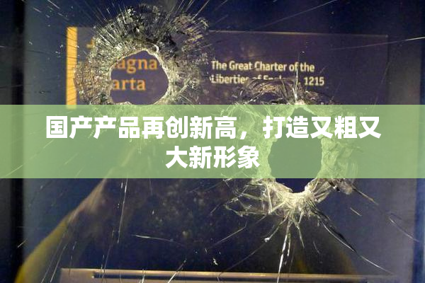 国产产品再创新高，打造又粗又大新形象