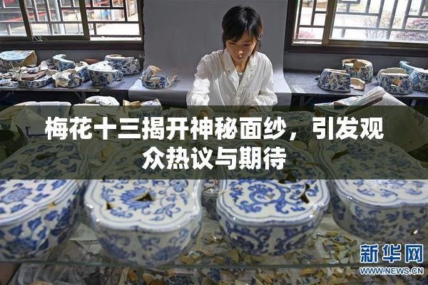 梅花十三揭开神秘面纱，引发观众热议与期待