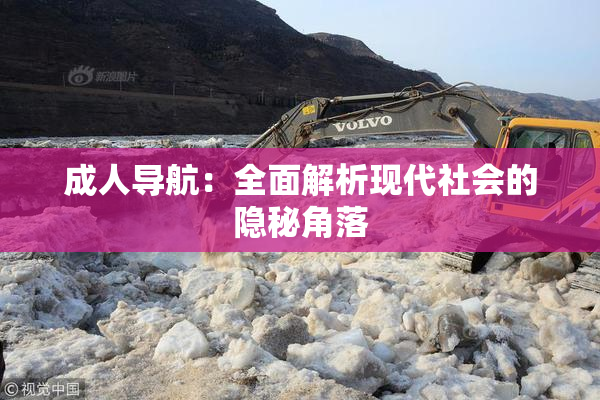 成人导航：全面解析现代社会的隐秘角落