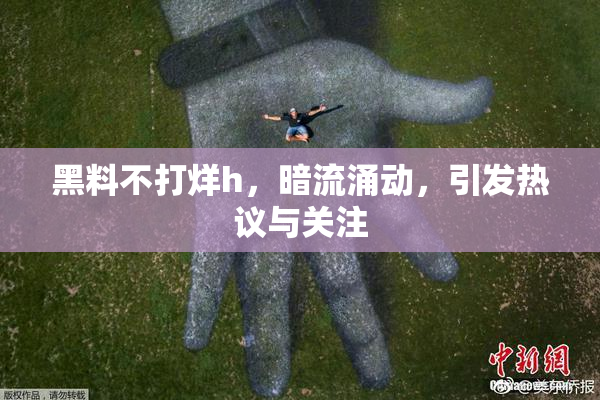 黑料不打烊h，暗流涌动，引发热议与关注
