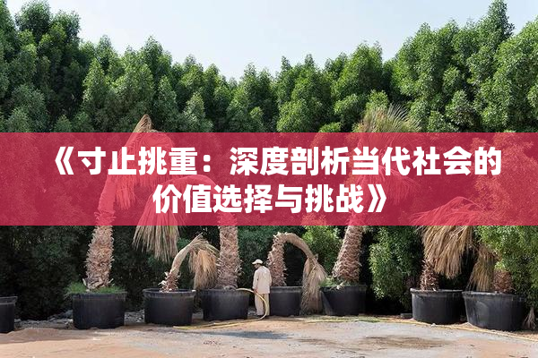 《寸止挑重：深度剖析当代社会的价值选择与挑战》