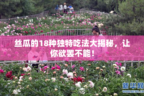 丝瓜的18种独特吃法大揭秘，让你欲罢不能！