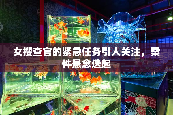 女搜查官的紧急任务引人关注，案件悬念迭起