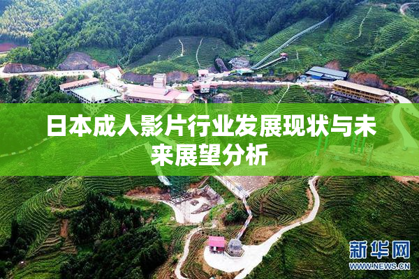 日本成人影片行业发展现状与未来展望分析
