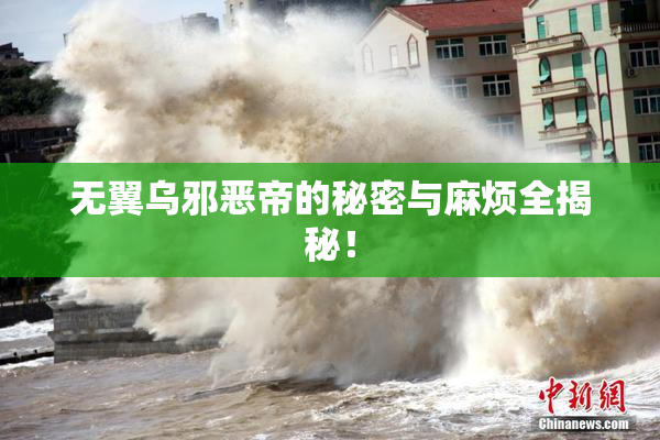 无翼乌邪恶帝的秘密与麻烦全揭秘！
