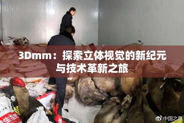 3Dmm：探索立体视觉的新纪元与技术革新之旅