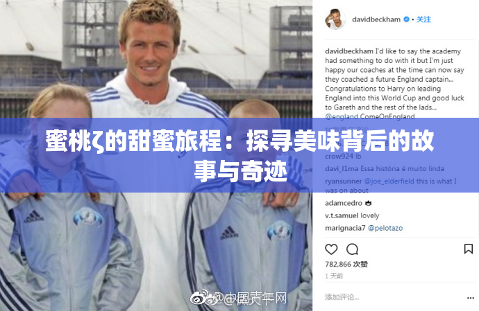 蜜桃ζ的甜蜜旅程：探寻美味背后的故事与奇迹