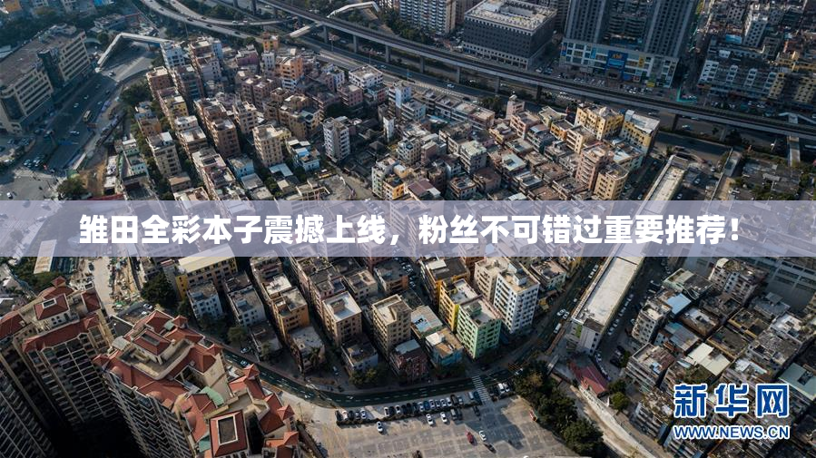 雏田全彩本子震撼上线，粉丝不可错过重要推荐！