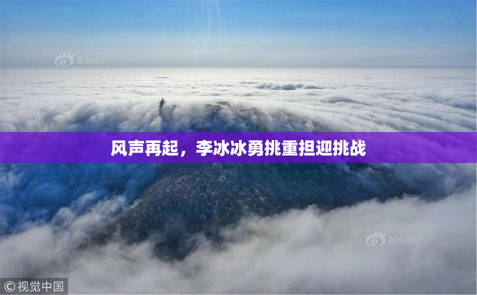 风声再起，李冰冰勇挑重担迎挑战