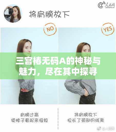 三宫椿无码A的神秘与魅力，尽在其中探寻