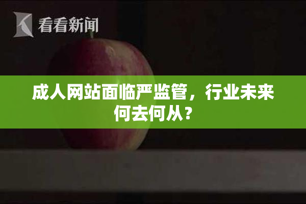 成人网站面临严监管，行业未来何去何从？