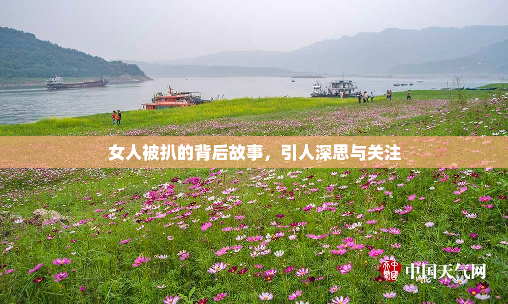 女人被扒的背后故事，引人深思与关注