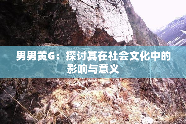 男男黄G：探讨其在社会文化中的影响与意义