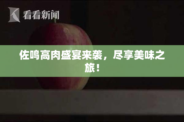 佐鸣高肉盛宴来袭，尽享美味之旅！