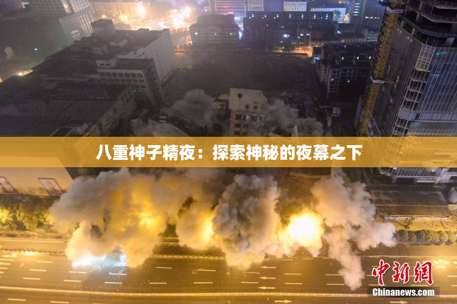 八重神子精夜：探索神秘的夜幕之下