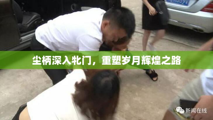 尘柄深入牝门，重塑岁月辉煌之路