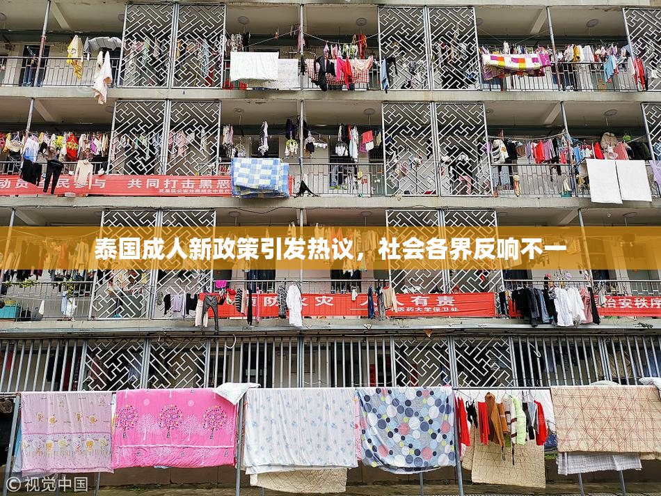 泰国成人新政策引发热议，社会各界反响不一