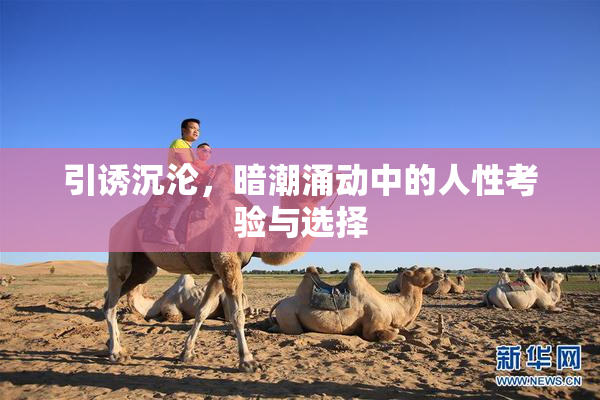 引诱沉沦，暗潮涌动中的人性考验与选择