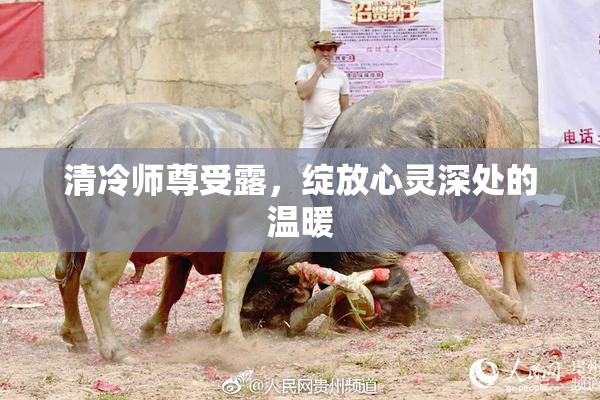 清冷师尊受露，绽放心灵深处的温暖