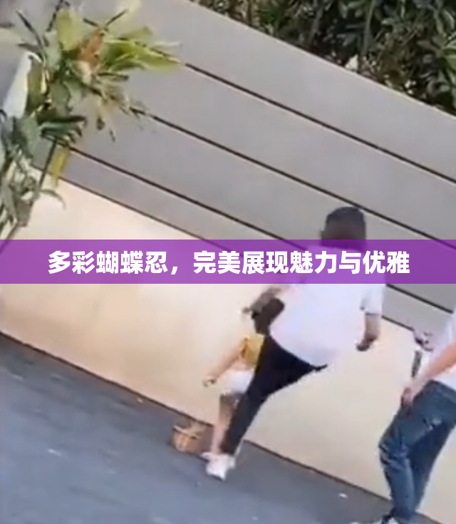 多彩蝴蝶忍，完美展现魅力与优雅