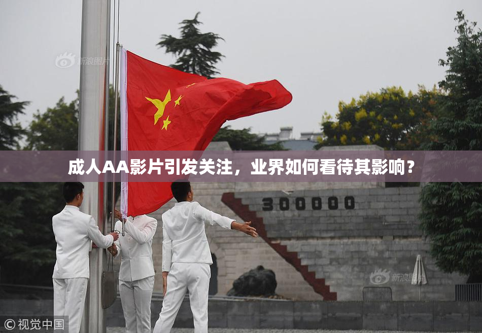 成人AA影片引发关注，业界如何看待其影响？