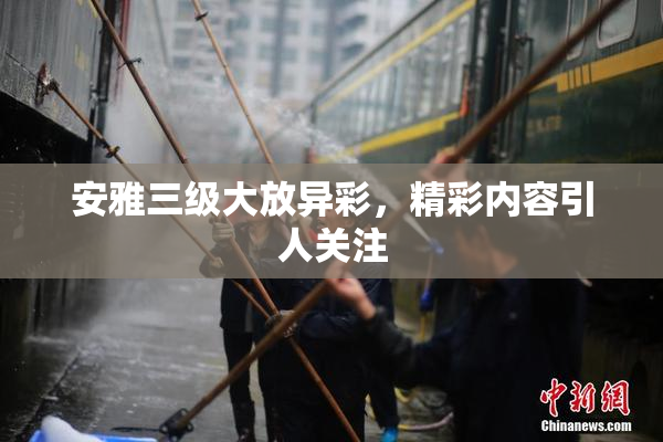 安雅三级大放异彩，精彩内容引人关注