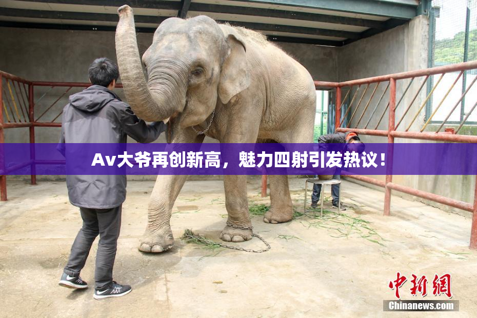 Av大爷再创新高，魅力四射引发热议！