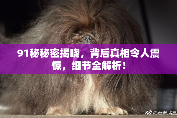 91秘秘密揭晓，背后真相令人震惊，细节全解析！