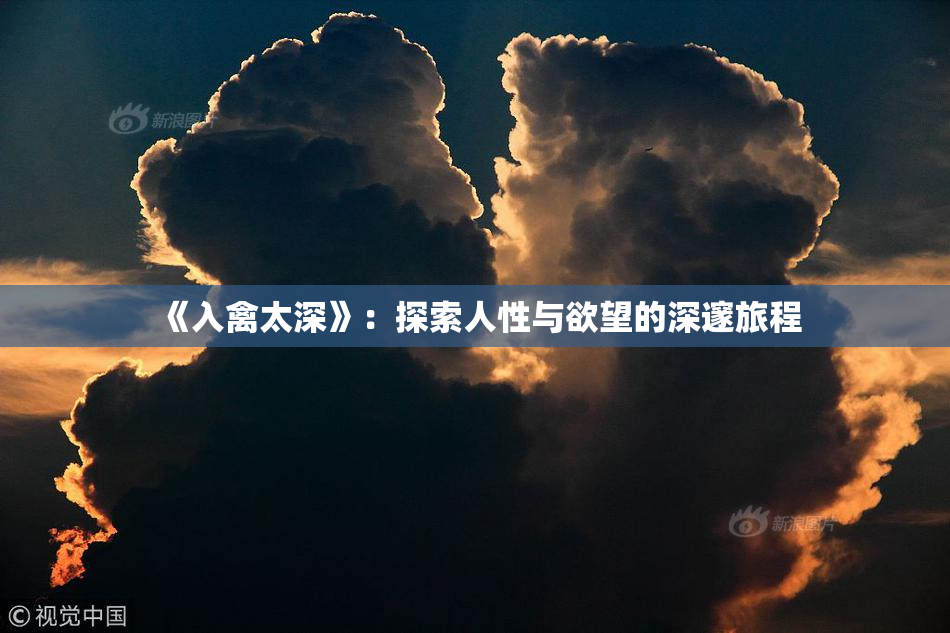 《入禽太深》：探索人性与欲望的深邃旅程
