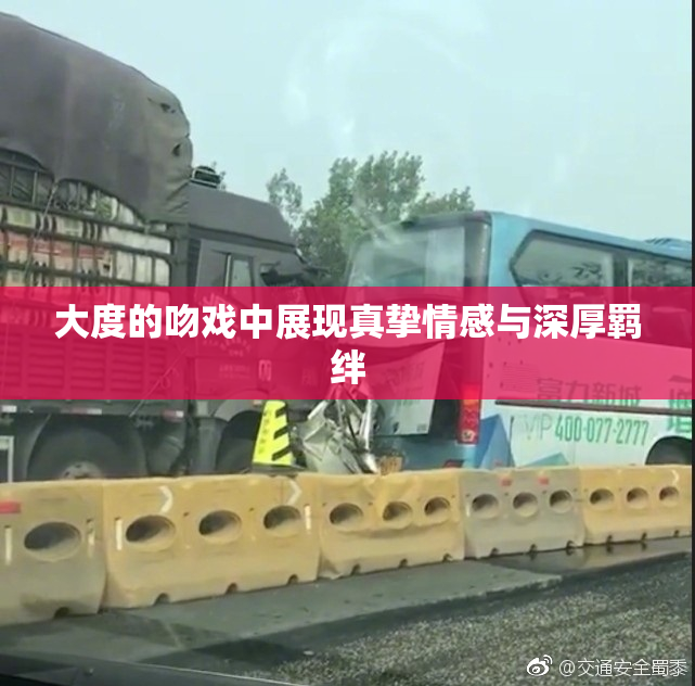 大度的吻戏中展现真挚情感与深厚羁绊
