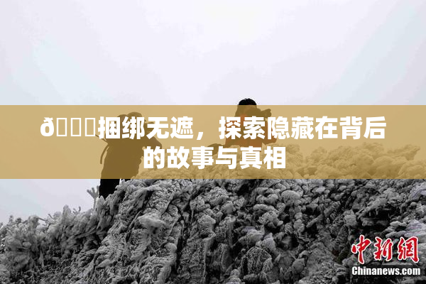 🔞捆绑无遮，探索隐藏在背后的故事与真相