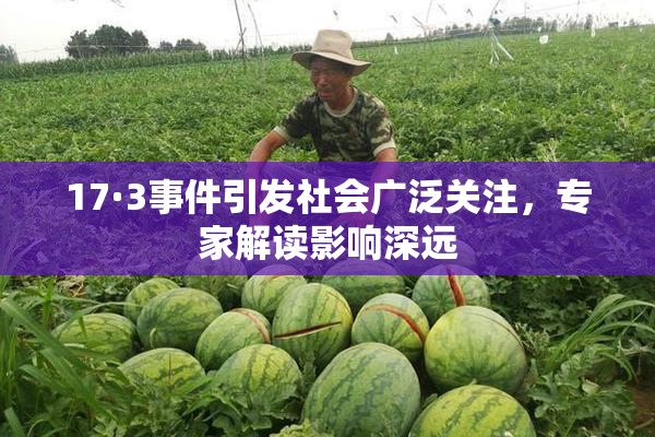 17·3事件引发社会广泛关注，专家解读影响深远