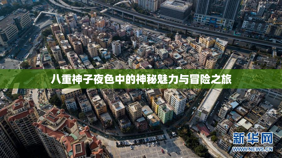 八重神子夜色中的神秘魅力与冒险之旅