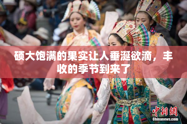 硕大饱满的果实让人垂涎欲滴，丰收的季节到来了