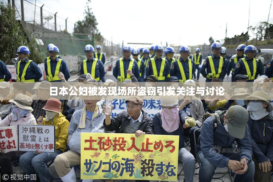 日本公妇被发现场所盗窃引发关注与讨论