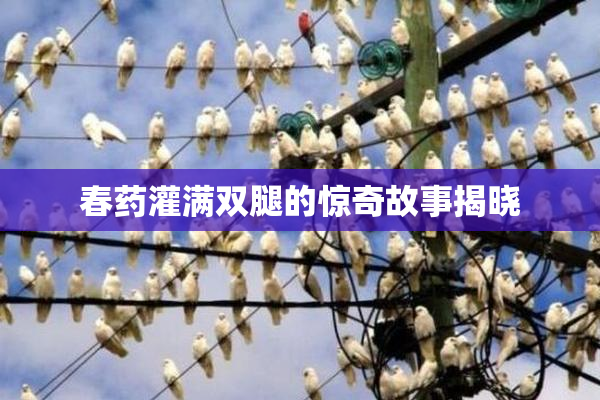 春药灌满双腿的惊奇故事揭晓