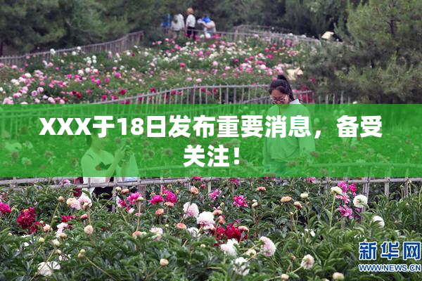 XXX于18日发布重要消息，备受关注！