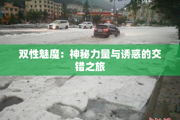双性魅魔：神秘力量与诱惑的交错之旅