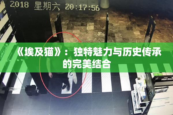《埃及猫》：独特魅力与历史传承的完美结合