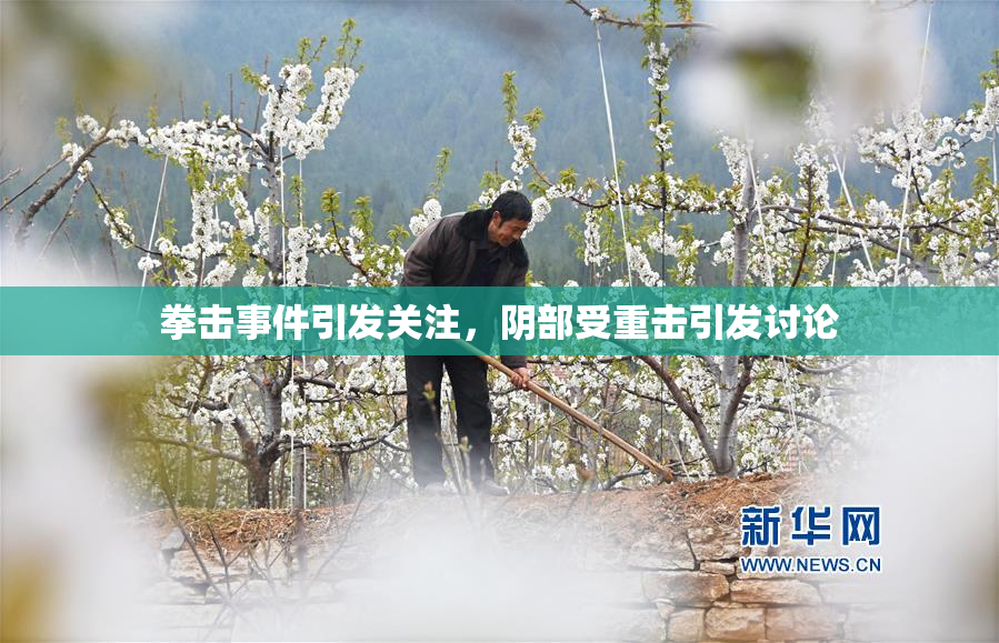 拳击事件引发关注，阴部受重击引发讨论