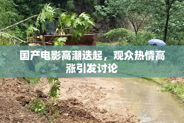 国产电影高潮迭起，观众热情高涨引发讨论