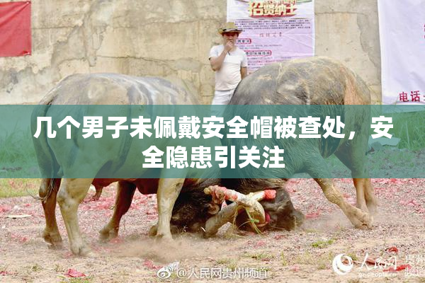 几个男子未佩戴安全帽被查处，安全隐患引关注