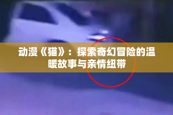 动漫《猫》：探索奇幻冒险的温暖故事与亲情纽带