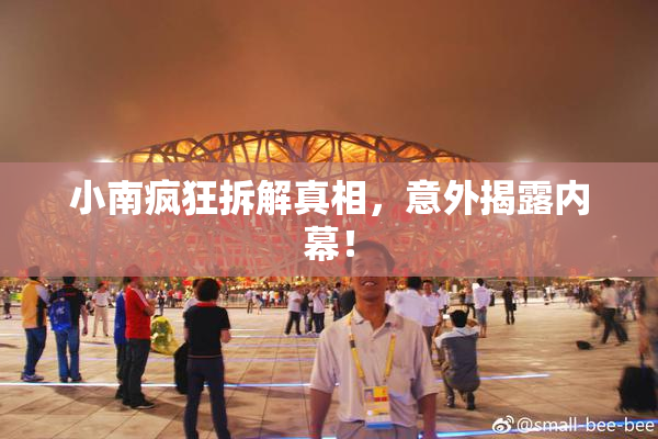 小南疯狂拆解真相，意外揭露内幕！